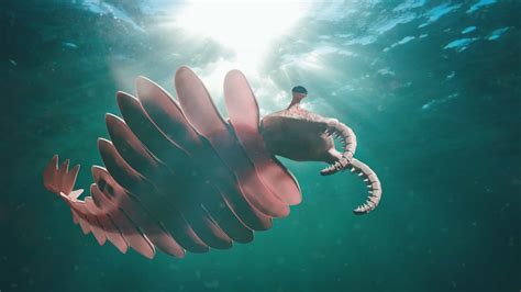 what did anomalocaris eat.